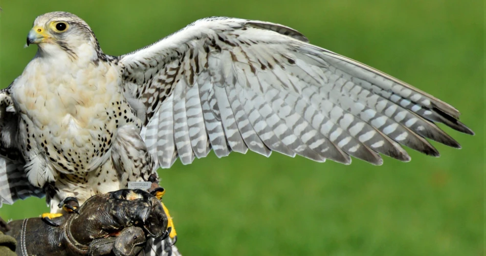 12 Aktiviti Dalam Ruangan di Abu Dhabi