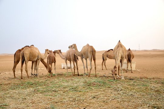 Tour image 6