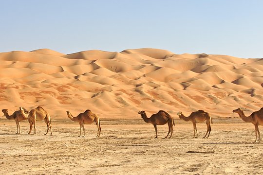 Tour image 4