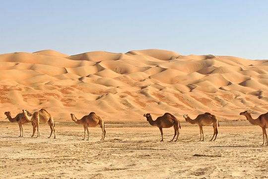 Tour image 4