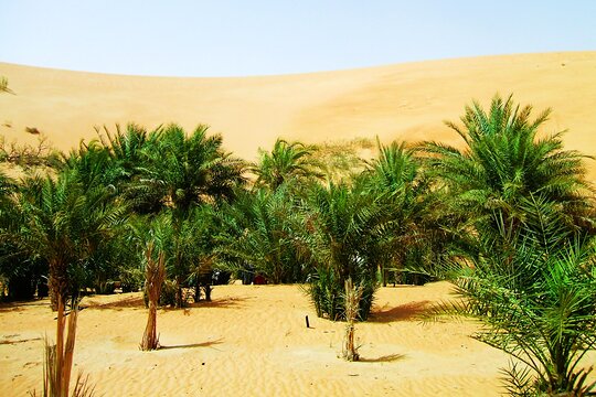 Tour image 6